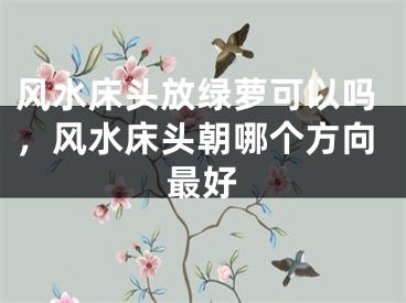 风水床头放绿萝可以吗，风水床头朝哪个方向最好