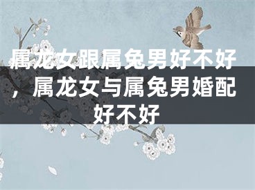 属龙女跟属兔男好不好，属龙女与属兔男婚配好不好