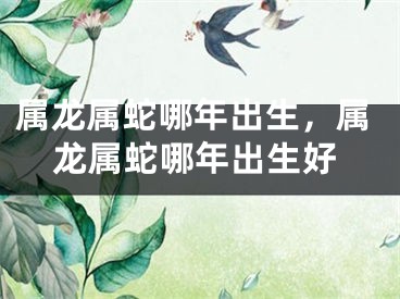 属龙属蛇哪年出生,属龙属蛇哪年出生好