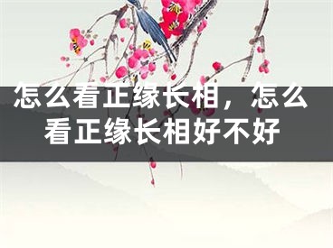怎么看正缘长相，怎么看正缘长相好不好
