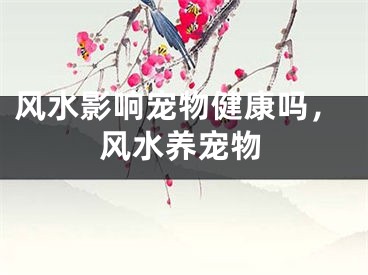 风水影响宠物健康吗，风水养宠物