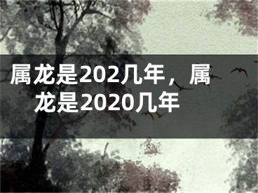 属龙是202几年，属龙是2020几年