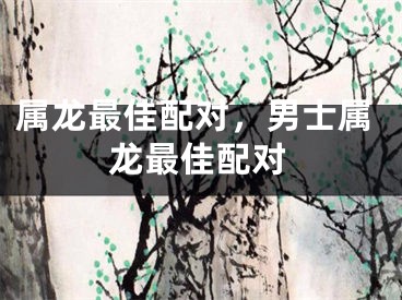 属龙最佳配对，男士属龙最佳配对