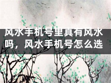 风水手机号里真有风水吗,风水手机号怎么选