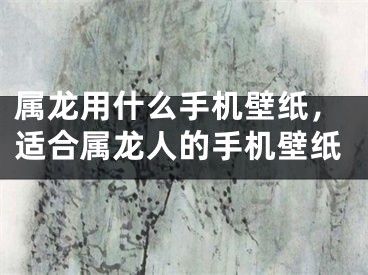 属龙用什么手机壁纸，适合属龙人的手机壁纸
