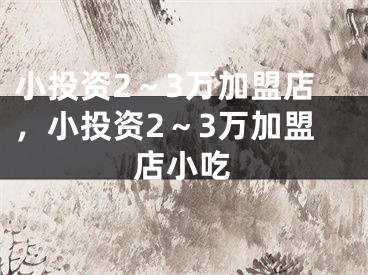 小投资2~3万加盟店,小投资2~3万加盟店小吃