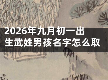 2026年九月初一出生武姓男孩名字怎么取