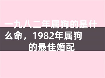 一九八二年属狗的是什么命,1982年属狗的最佳婚配
