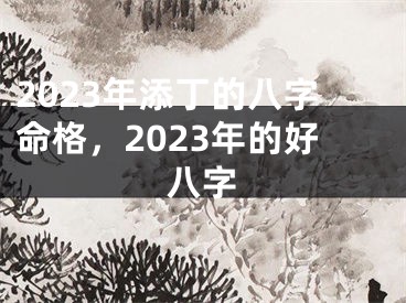 2023年添丁的八字命格，2023年的好八字