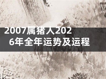 2007属猪人2026年全年运势及运程