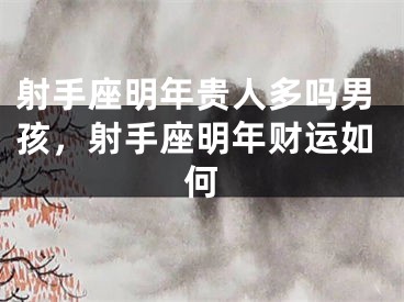 射手座明年贵人多吗男孩，射手座明年财运如何