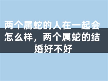 两个属蛇的人在一起会怎么样，两个属蛇的结婚好不好