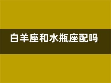 白羊座和水瓶座配吗