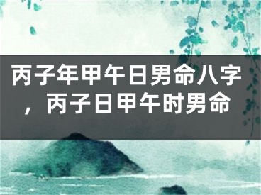 丙子年甲午日男命八字，丙子日甲午时男命