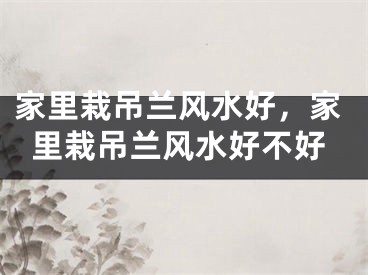 家里栽吊兰风水好，家里栽吊兰风水好不好