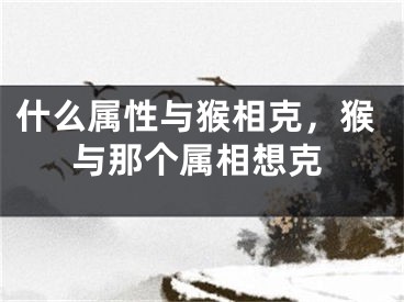 什么属性与猴相克，猴与那个属相想克