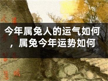 今年属兔人的运气如何，属兔今年运势如何