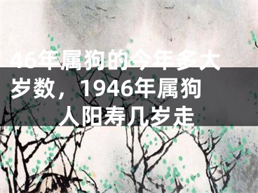 46年属狗的今年多大岁数，1946年属狗人阳寿几岁走