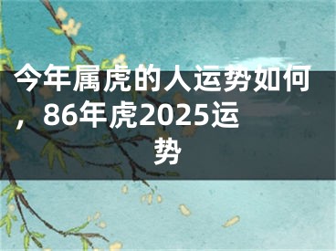 今年属虎的人运势如何，86年虎2025运势
