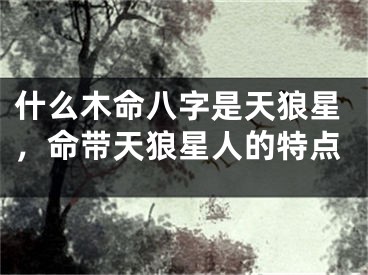 什么木命八字是天狼星，命带天狼星人的特点