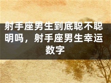 射手座男生到底聪不聪明吗，射手座男生幸运数字