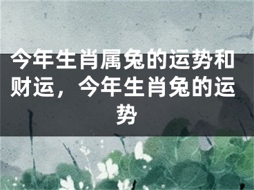 今年生肖属兔的运势和财运，今年生肖兔的运势