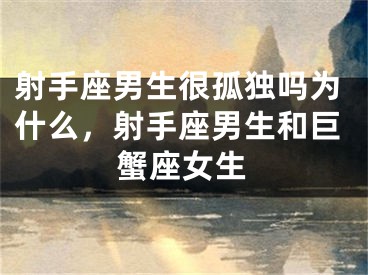 射手座男生很孤独吗为什么，射手座男生和巨蟹座女生