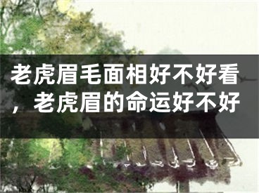 老虎眉毛面相好不好看，老虎眉的命运好不好
