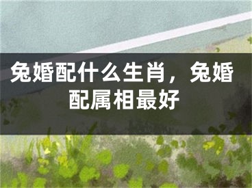 兔婚配什么生肖，兔婚配属相最好