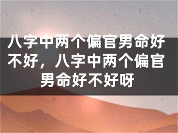 八字中两个偏官男命好不好，八字中两个偏官男命好不好呀