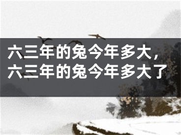 六三年的兔今年多大，六三年的兔今年多大了