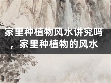 家里种植物风水讲究吗，家里种植物的风水