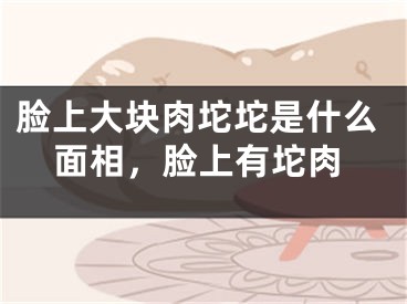 脸上大块肉坨坨是什么面相,脸上有坨肉