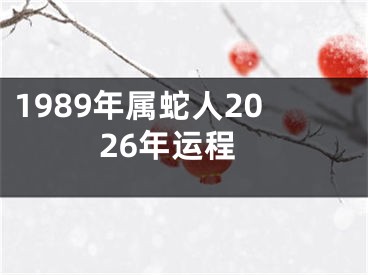 1989年属蛇人2026年运程