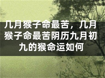 几月猴子命最苦，几月猴子命最苦阴历九月初九的猴命运如何