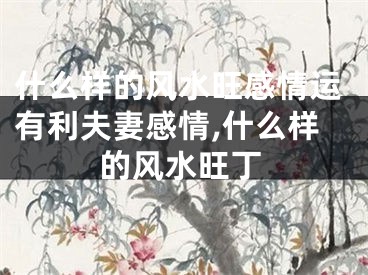 什么样的风水旺感情运有利夫妻感情,什么样的风水旺丁