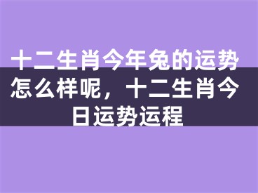 十二生肖今年兔的运势怎么样呢，十二生肖今日运势运程