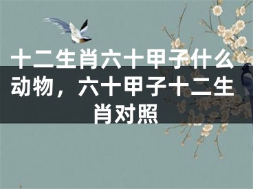 十二生肖六十甲子什么动物，六十甲子十二生肖对照