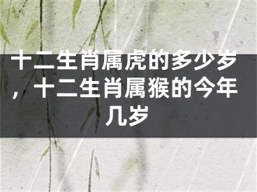 十二生肖属虎的多少岁，十二生肖属猴的今年几岁
