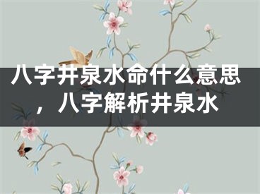 八字井泉水命什么意思，八字解析井泉水