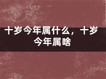 十岁今年属什么，十岁今年属啥